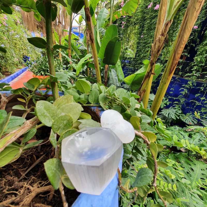 Selenite Hexagon