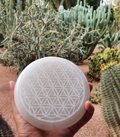 Flower of Life Engraved Selenite Plates