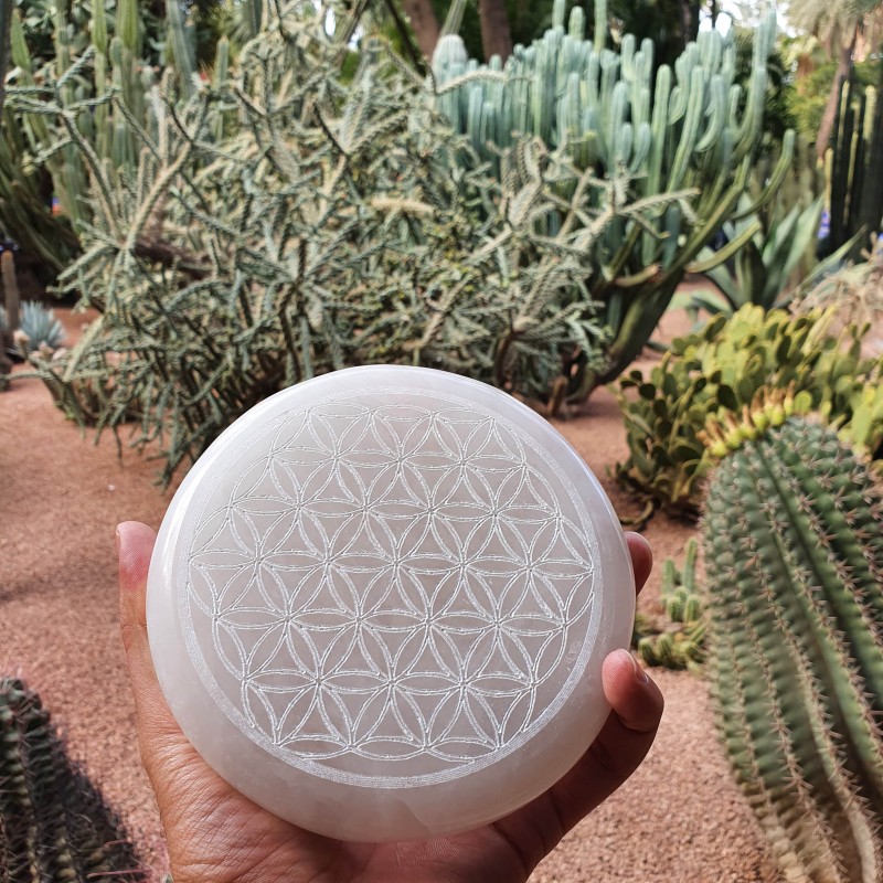 Flower of Life Engraved Selenite Plates