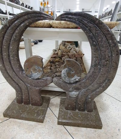 Ammonite Sculpture Orthoceras