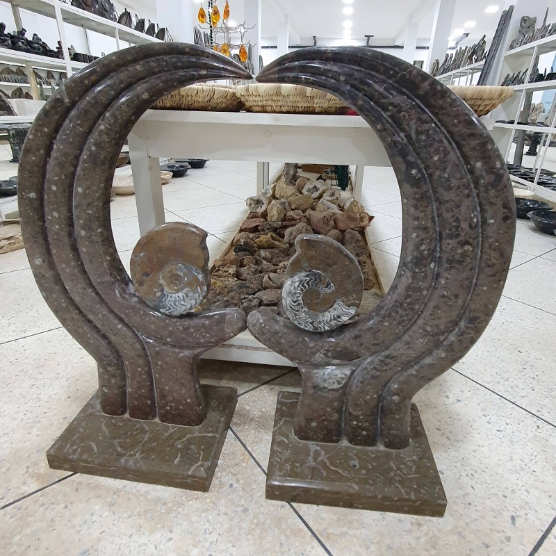 Ammonite Sculpture Orthoceras