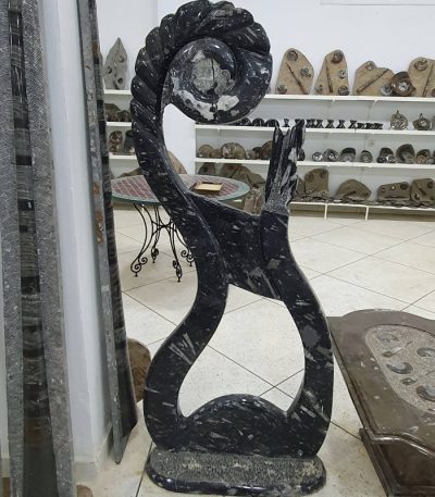 Ammonite Sculpture Orthoceras